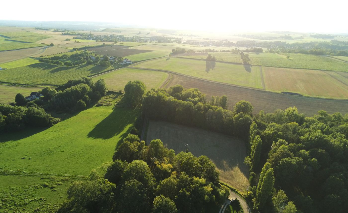 Le Jardin - La Croisée Gîte en Bourgogne